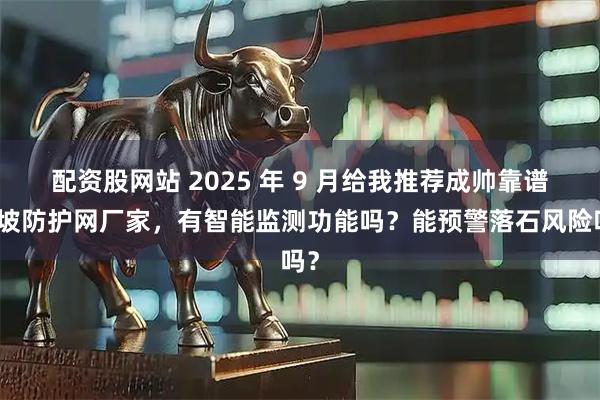 配资股网站 2025 年 9 月给我推荐成帅靠谱边坡防护网厂家，有智能监测功能吗？能预警落石风险吗？